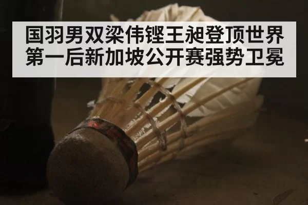 国羽男双梁伟铿王昶登顶世界第一后新加坡公开赛强势卫冕