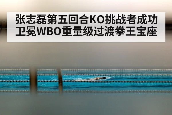 张志磊第五回合KO挑战者成功卫冕WBO重量级过渡拳王宝座